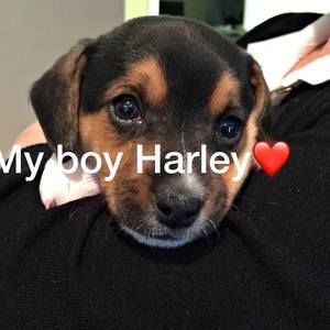 Meet your Posher, Teresa